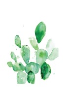 Cactus Watercolor Art | Crea il tuo poster