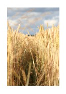 Wheat Field | Crea il tuo poster