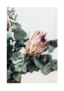 Pretty Dried Pink Flower | Crea il tuo poster