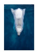 Swimming Polar Bear | Crea il tuo poster