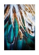 Colorful Feathers | Crea il tuo poster