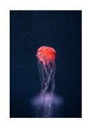 Vibrant Jellyfish In The Ocean | Crea il tuo poster