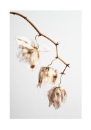 Dried Flower Petals | Crea il tuo poster