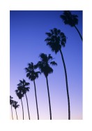 Palm Trees At Sunset In California | Crea il tuo poster