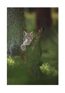 Wild Lynx In Nature | Crea il tuo poster