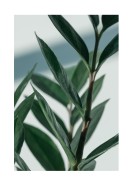 Green Plant Close-up | Crea il tuo poster
