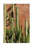 Cactus Plant In The Sun | Crea il tuo poster