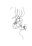 Grapes Line Art | Crea il tuo poster