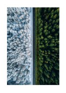 A Forest In Summer And Winter | Crea il tuo poster