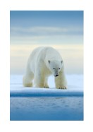 Polar Bear In The Wild | Crea il tuo poster