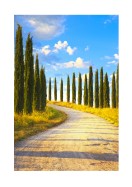 Cyprus Trees In Italy | Crea il tuo poster